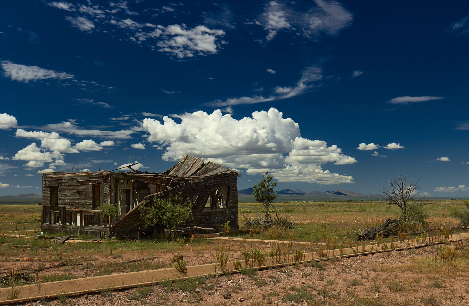 Bild 250