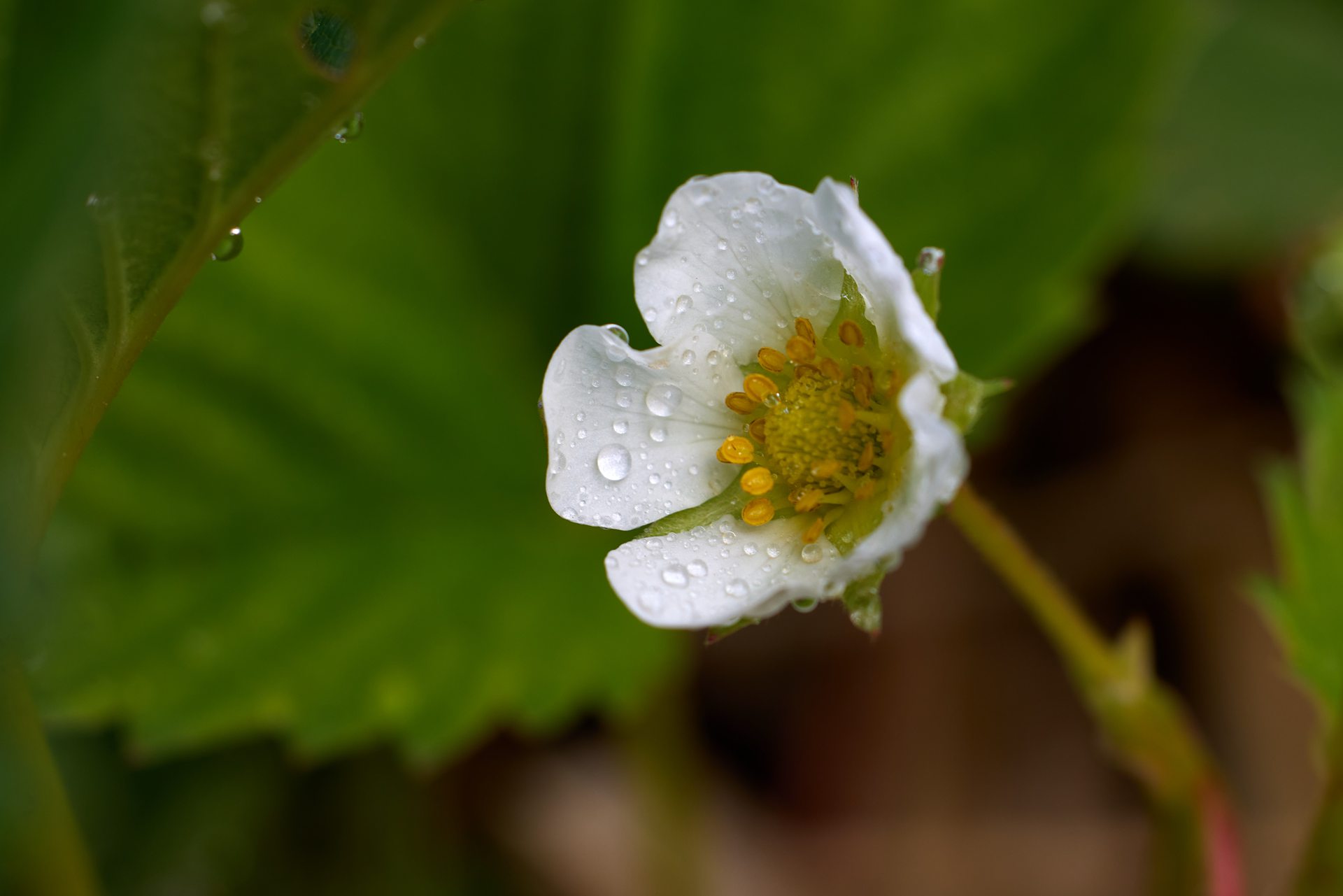 Bild 71